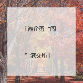 湘企勇“闯”港交所