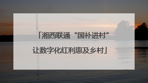 湘西联通“国补进村”让数字化红利惠及乡村