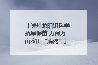 滕州龙阳镇科学抗旱保苗 力保万亩农田“解渴”