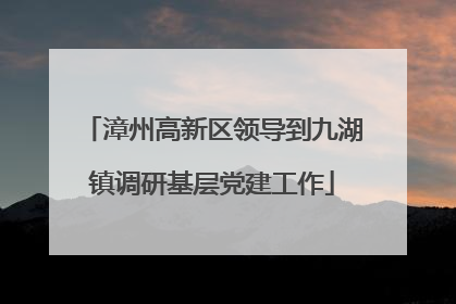 漳州高新区领导到九湖镇调研基层党建工作
