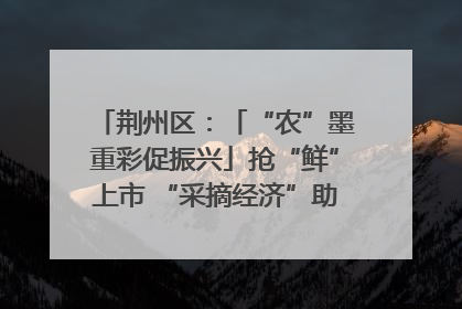 荆州区：「“农”墨重彩促振兴」抢“鲜”上市 “采摘经济”助农“甜蜜增收”