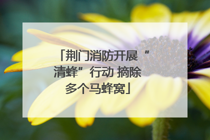 荆门消防开展“清蜂”行动 摘除多个马蜂窝