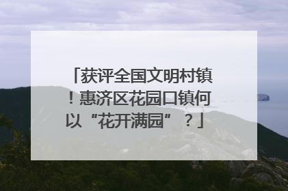 获评全国文明村镇！惠济区花园口镇何以“花开满园”？