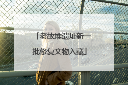 老故堆遗址新一批修复文物入藏