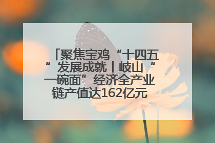 聚焦宝鸡“十四五”发展成就丨岐山“一碗面”经济全产业链产值达162亿元 入选全国典型县