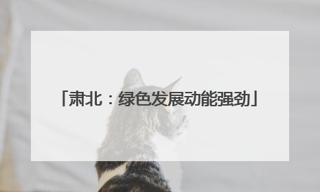 肃北：绿色发展动能强劲