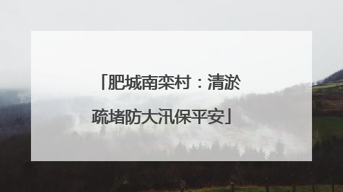 肥城南栾村：清淤疏堵防大汛保平安