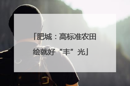 肥城：高标准农田绘就好“丰”光