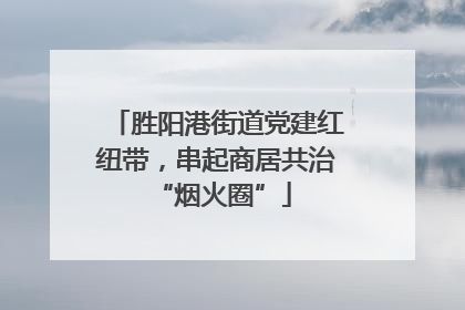 胜阳港街道党建红纽带，串起商居共治 “烟火圈”
