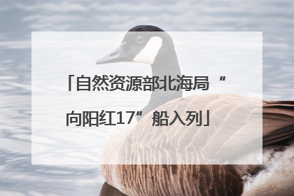 自然资源部北海局“向阳红17”船入列