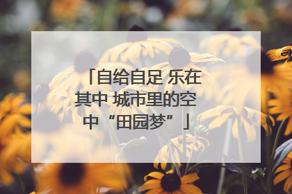 自给自足 乐在其中 城市里的空中“田园梦”