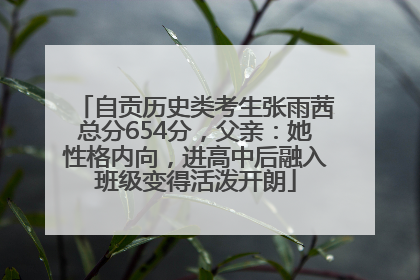 自贡历史类考生张雨茜总分654分，父亲：她性格内向，进高中后融入班级变得活泼开朗