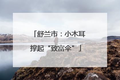 舒兰市：小木耳撑起“致富伞”