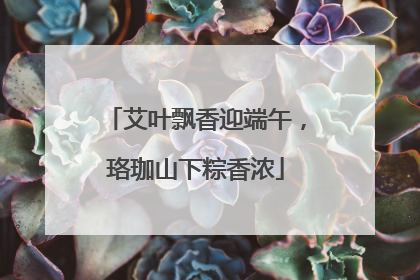 艾叶飘香迎端午，珞珈山下粽香浓