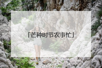 芒种时节农事忙
