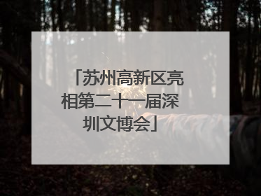 苏州高新区亮相第二十一届深圳文博会