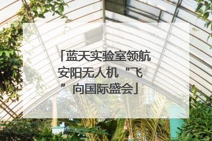 蓝天实验室领航 安阳无人机“飞”向国际盛会