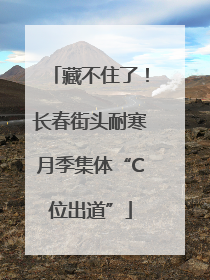 藏不住了！长春街头耐寒月季集体“C位出道”