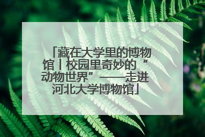 藏在大学里的博物馆丨校园里奇妙的“动物世界”——走进河北大学博物馆