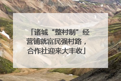 诸城“整村制”经营铺就富民强村路，合作社迎来大丰收