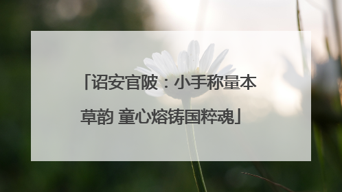 诏安官陂：小手称量本草韵 童心熔铸国粹魂