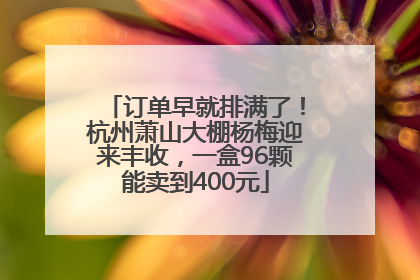 订单早就排满了！杭州萧山大棚杨梅迎来丰收，一盒96颗能卖到400元