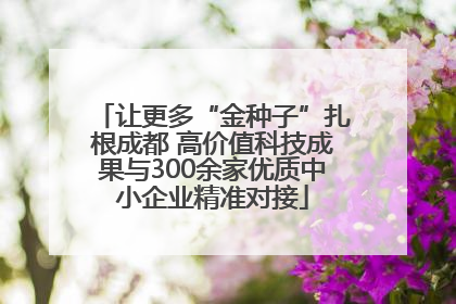 让更多“金种子”扎根成都 高价值科技成果与300余家优质中小企业精准对接