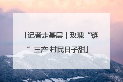 记者走基层｜玫瑰“链”三产 村民日子甜