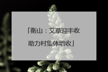 衡山：艾草迎丰收 助力村集体增收