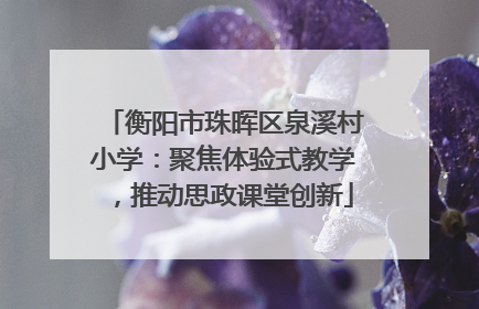 衡阳市珠晖区泉溪村小学：聚焦体验式教学，推动思政课堂创新