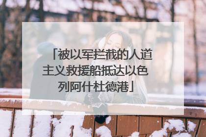 被以军拦截的人道主义救援船抵达以色列阿什杜德港