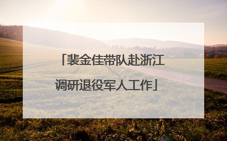 裴金佳带队赴浙江调研退役军人工作