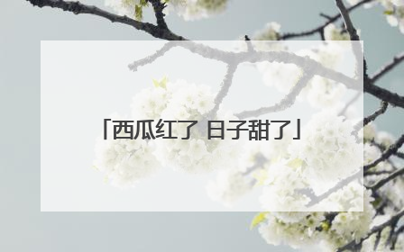 西瓜红了 日子甜了