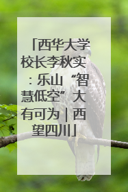 西华大学校长李秋实：乐山“智慧低空”大有可为｜西望四川