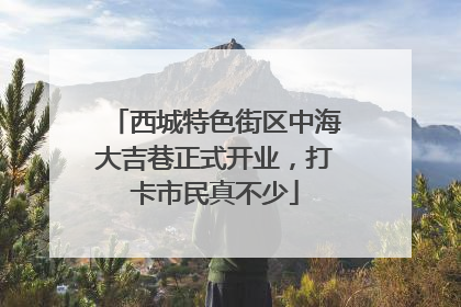 西城特色街区中海大吉巷正式开业，打卡市民真不少