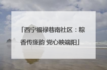 西宁福禄巷南社区：粽香传廉韵 党心映端阳