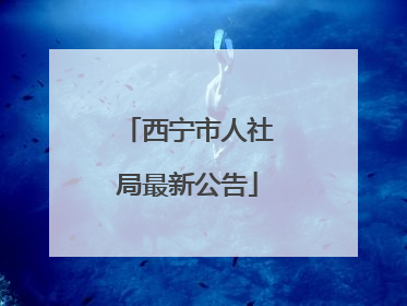 西宁市人社局最新公告