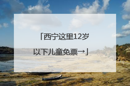 西宁这里12岁以下儿童免票→