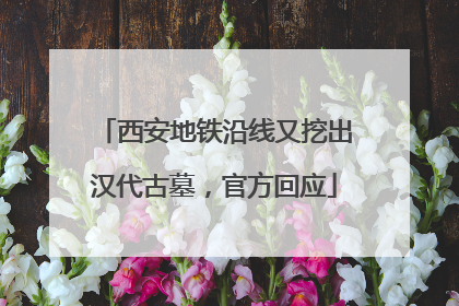 西安地铁沿线又挖出汉代古墓，官方回应