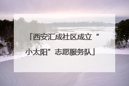 西安汇成社区成立“小太阳”志愿服务队
