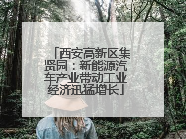 西安高新区集贤园：新能源汽车产业带动工业经济迅猛增长