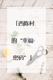 西陈村的“幸福密码”