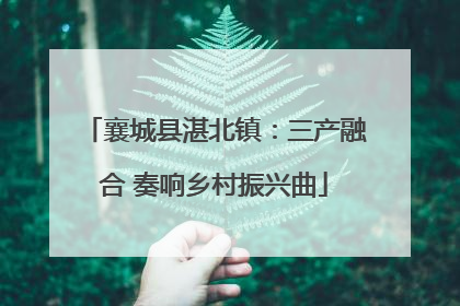 襄城县湛北镇：三产融合 奏响乡村振兴曲
