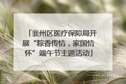 襄州区医疗保障局开展“粽香传情，家国情怀”端午节主题活动