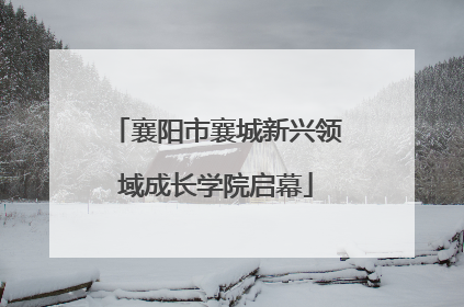 襄阳市襄城新兴领域成长学院启幕