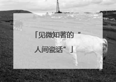 见微知著的“人间瓷话”