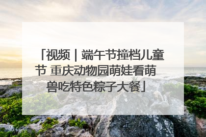 视频｜端午节撞档儿童节 重庆动物园萌娃看萌兽吃特色粽子大餐