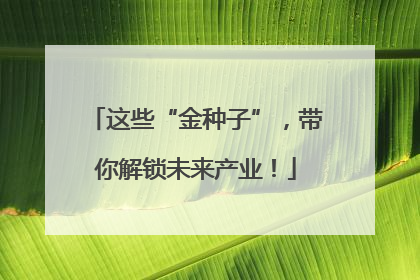 这些“金种子”，带你解锁未来产业！
