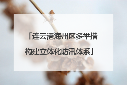 连云港海州区多举措构建立体化防汛体系