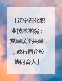 辽宁石化职业技术学院：党建联学共建，政行园企校协同育人